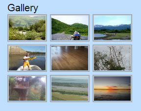 next-gen-gallery-widget